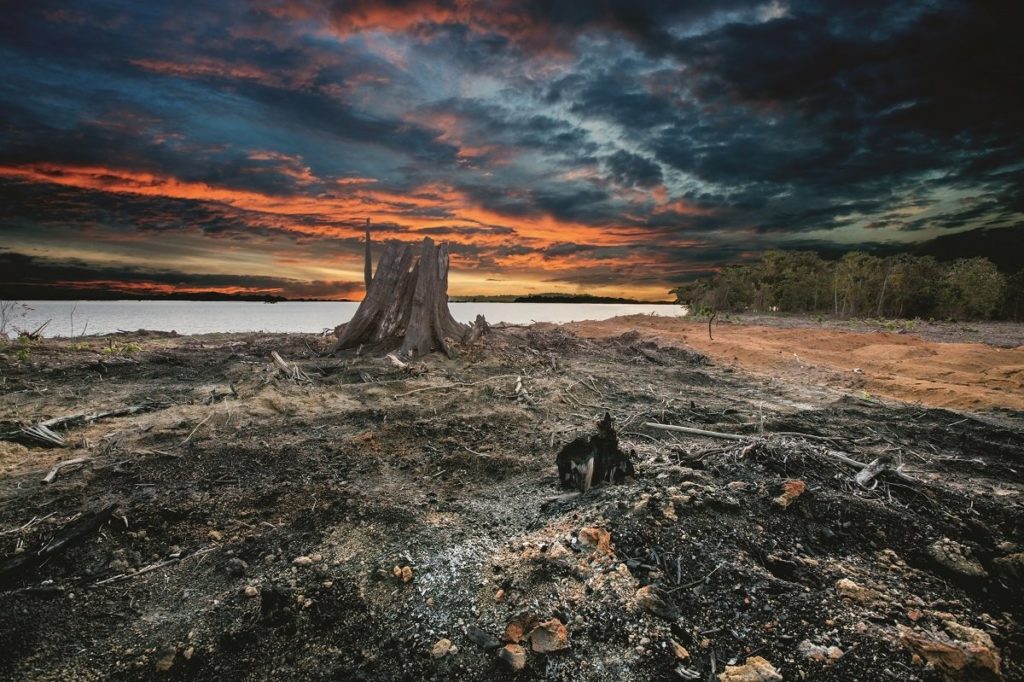 Bestel gratis de documentaire ‘Countdown on the river Xingu V’
