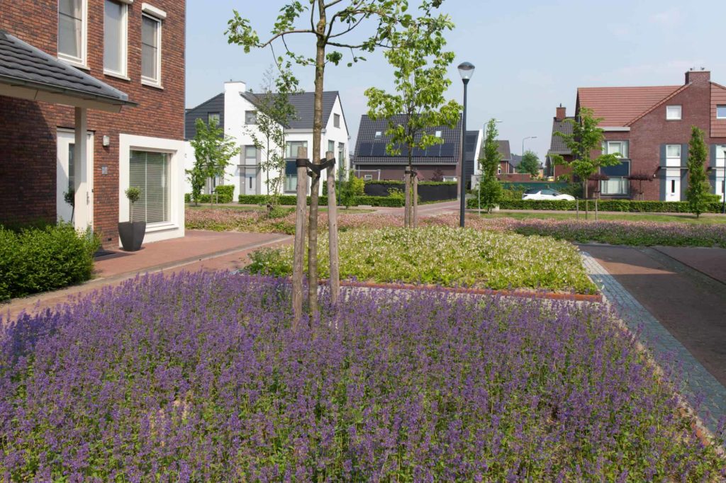 Operatie Steenbreek en Entente Florale gaan verder onder Stichting Steenbreek