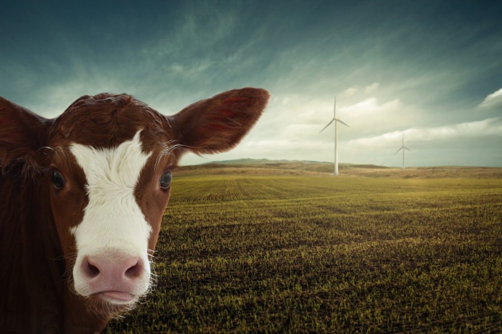 CO2-beprijzing geeft overheden inzichten in kansen voor energiebesparing