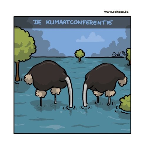 Coöperatie LEO ontwikkelt tienpuntenplan klimaatadaptatie voor burgers