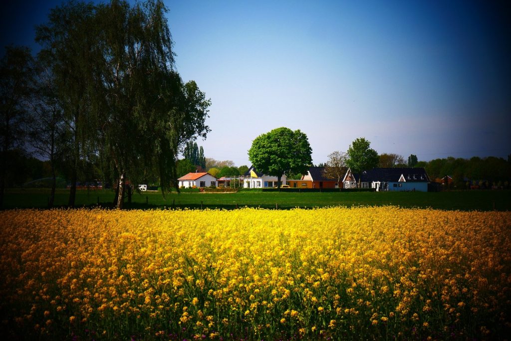 Gelders Landschap - Groene Icoonprojecten Provincie Gelderland - Pixabay